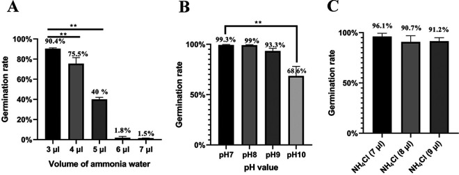 FIG 1