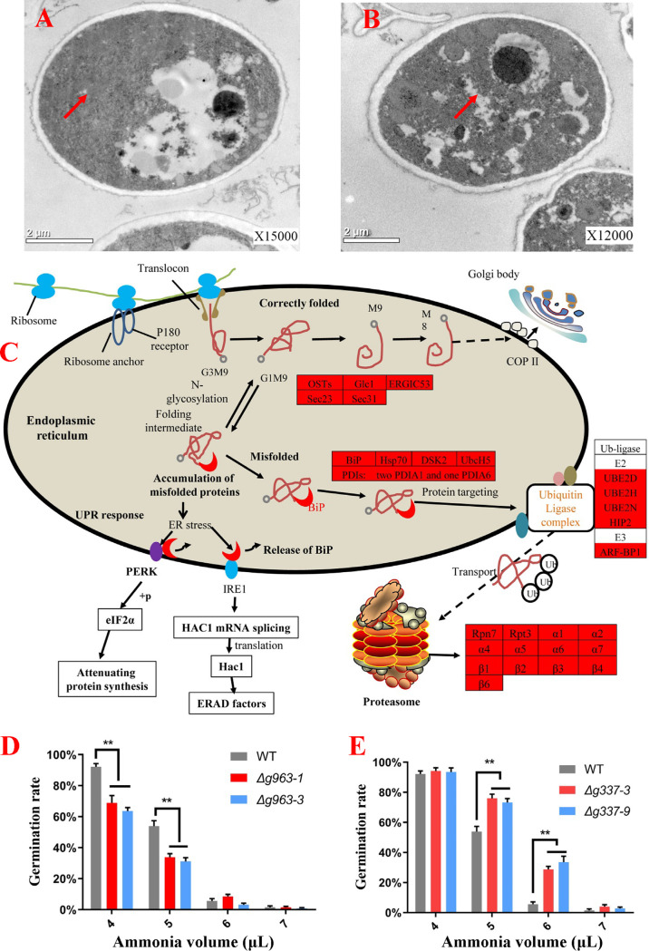 FIG 3