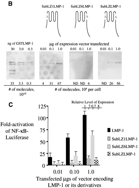 FIG. 2.