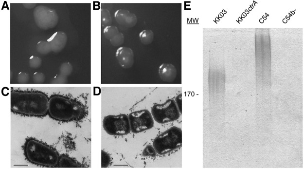 FIG 3 