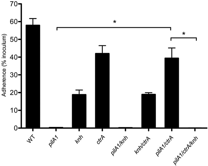 FIG 4 