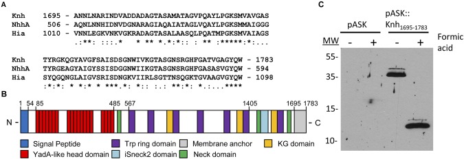 FIG 1 