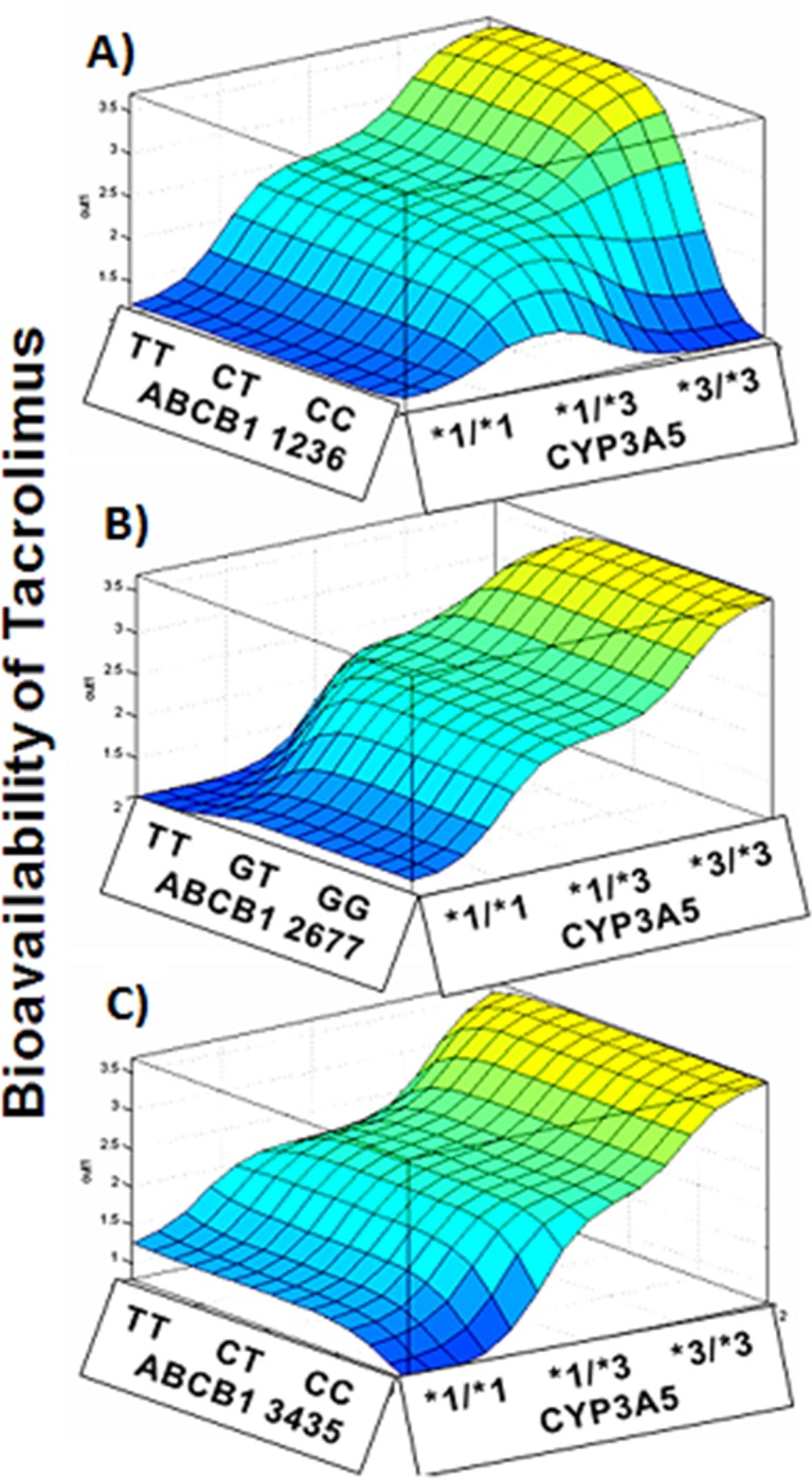 Fig 5