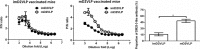 Figure 5—figure supplement 4.