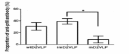 Figure 5—figure supplement 1.