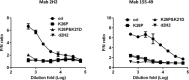 Figure 5—figure supplement 2.