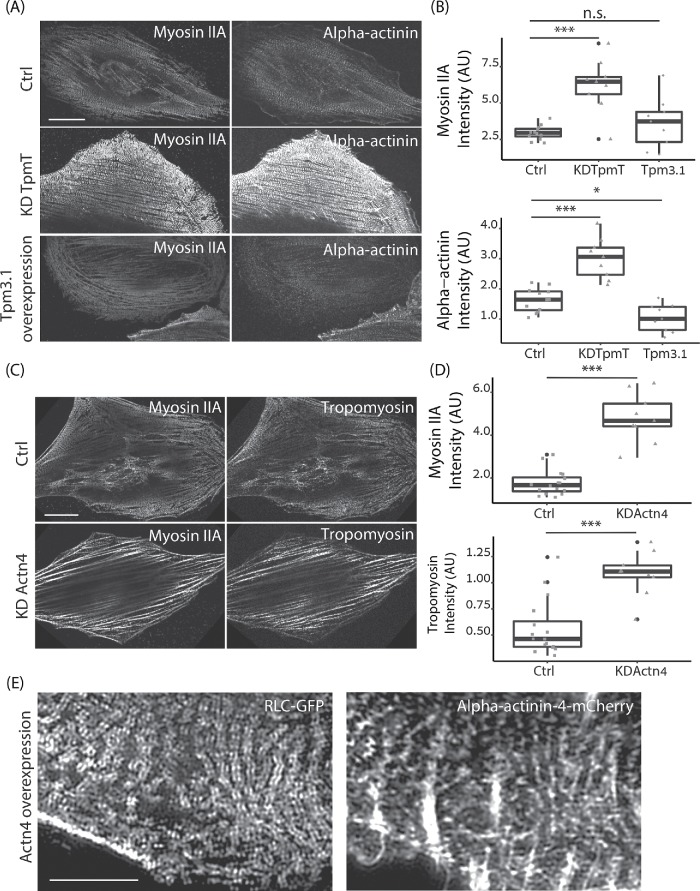 FIGURE 3: