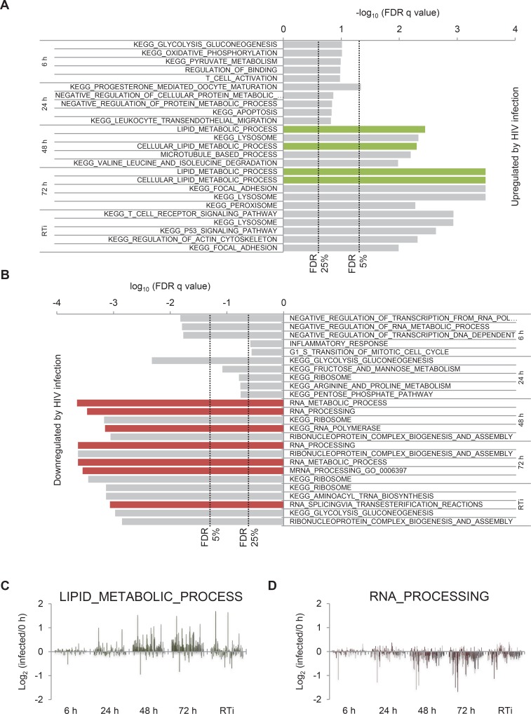 Figure 1—figure supplement 2.