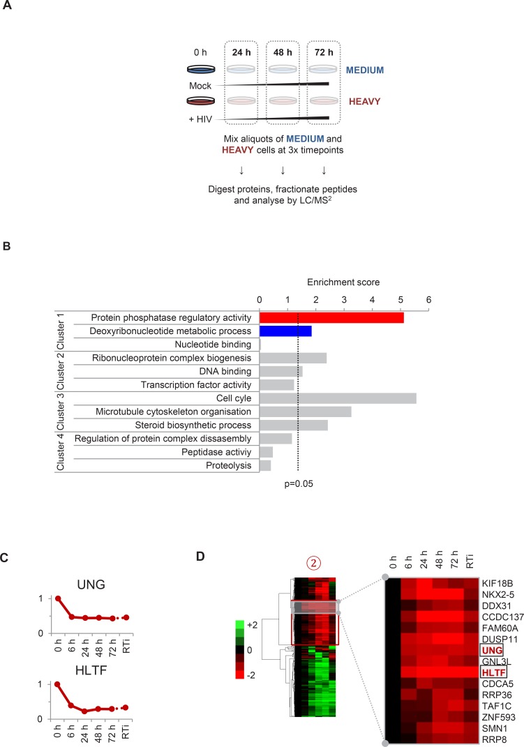 Figure 2—figure supplement 1.