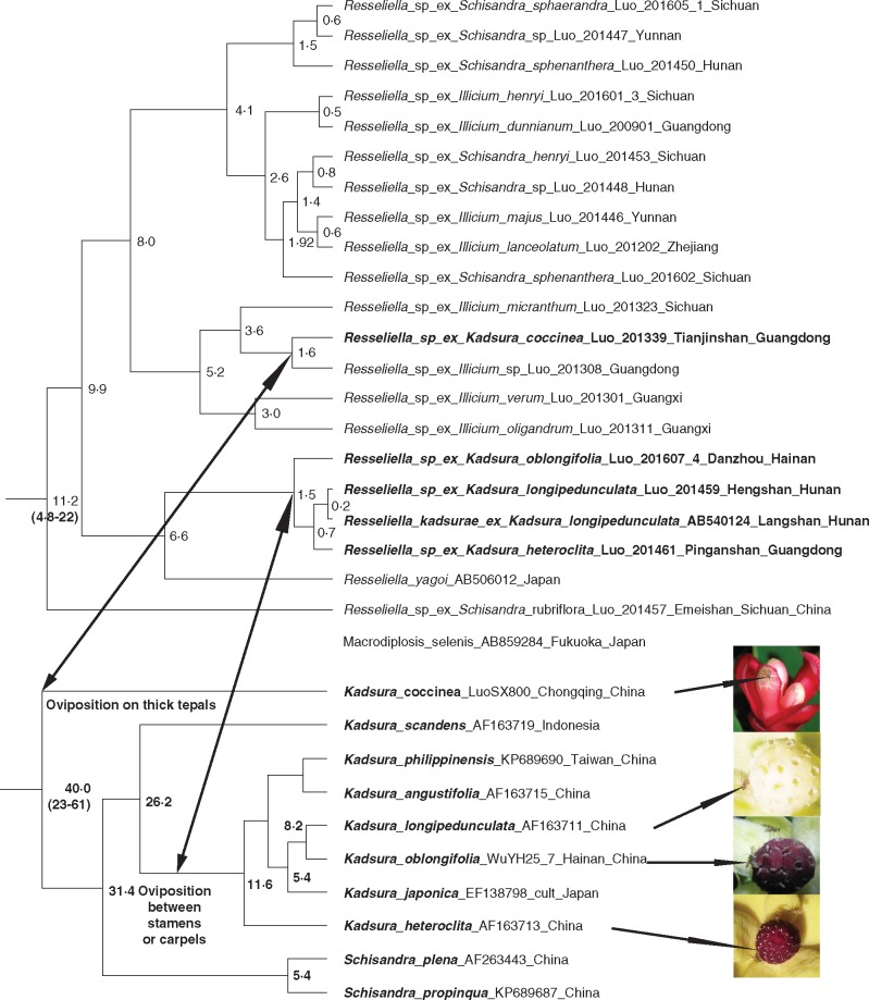 Fig. 5.