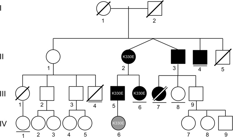 Fig. 1