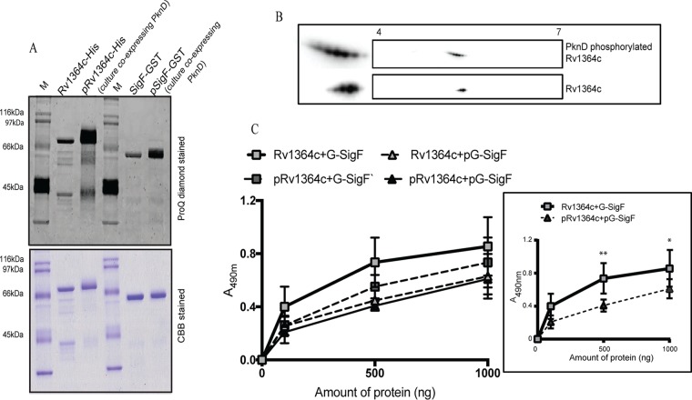 FIG 3