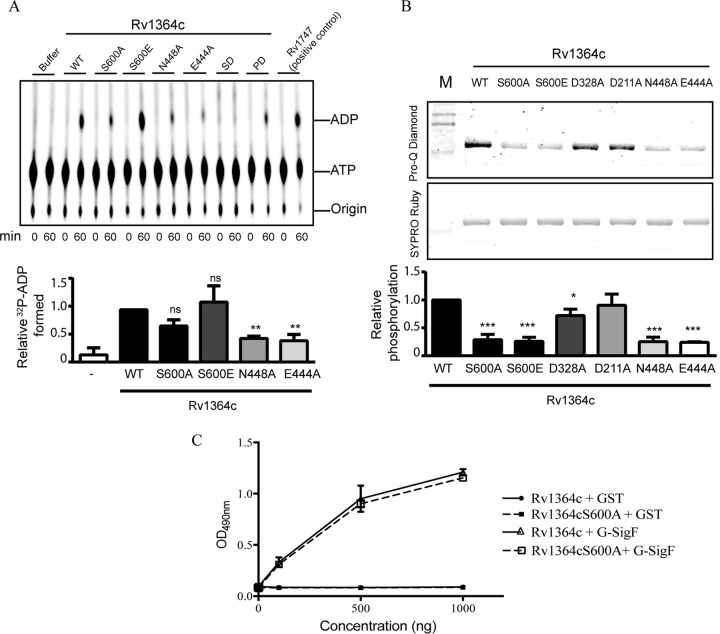 FIG 1