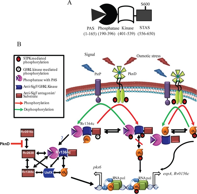 FIG 6