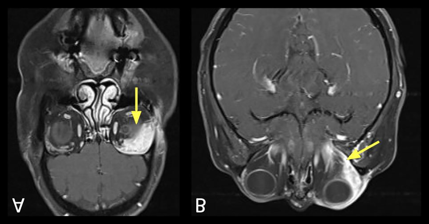 Figure 7: