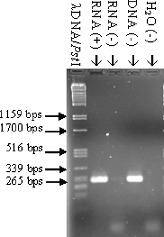 FIG. 7.