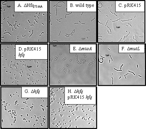 FIG. 9.