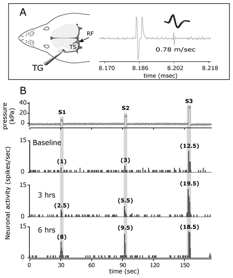 FIGURE 1