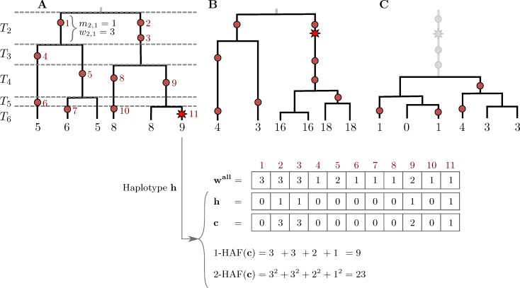 Fig 1