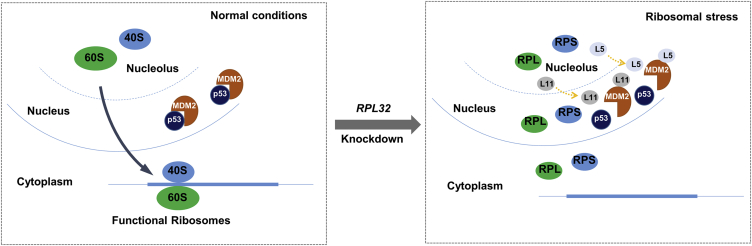 Figure 6