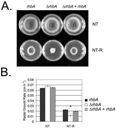 FIG. 7.