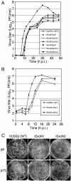 FIG. 2.