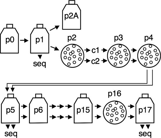 FIG. 3.