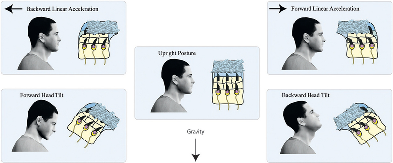 Fig. 3.7.