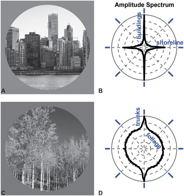 Fig. 3.5.