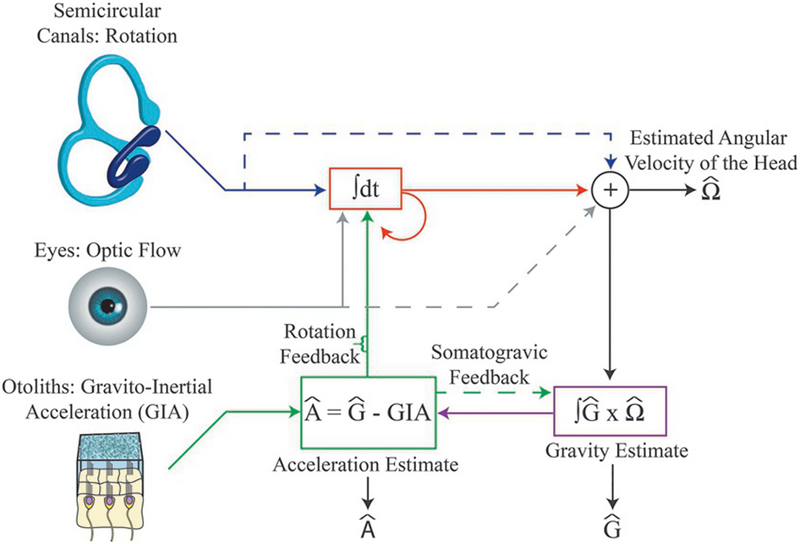 Fig. 3.6.