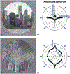 Fig. 3.5.