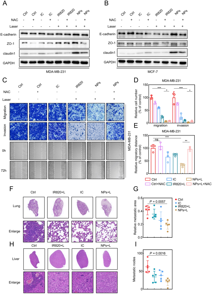 Fig. 7