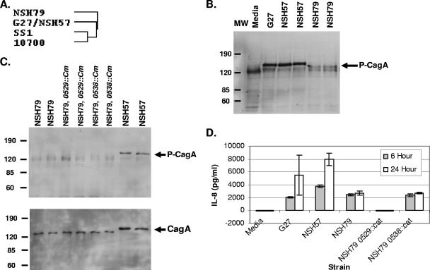 FIG. 1.