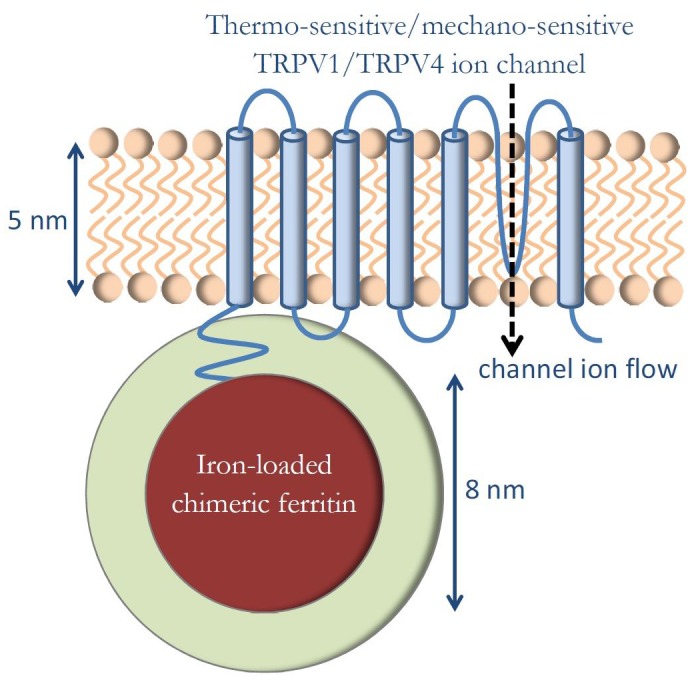 Figure 1.