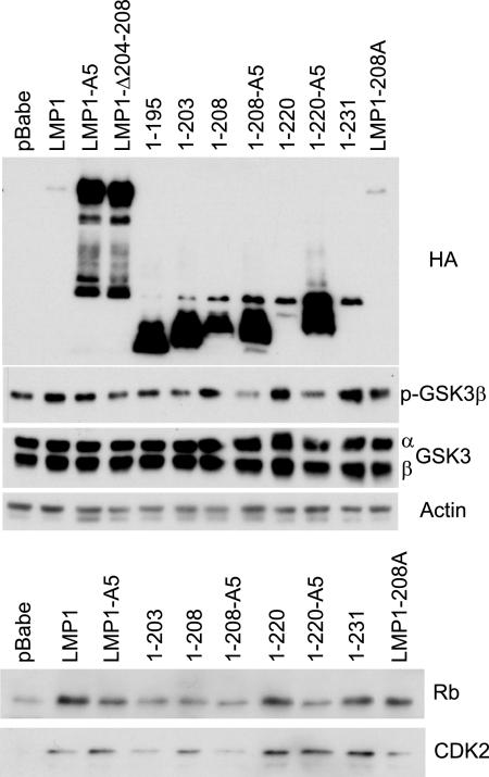 FIG. 5.