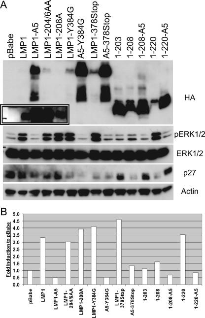 FIG. 7.