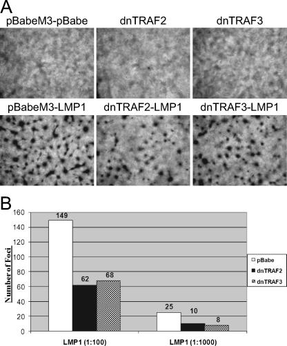 FIG. 8.