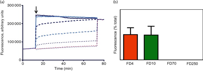 Fig. 3.