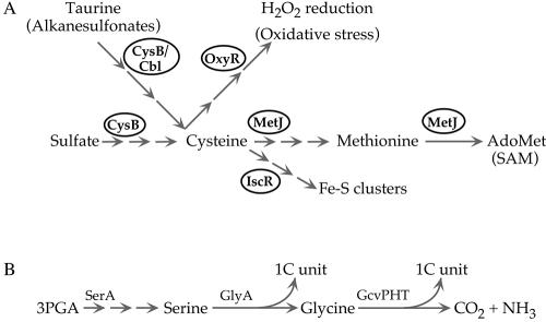 FIG. 8.