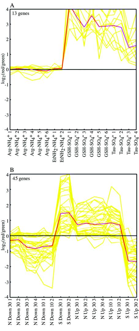 FIG. 6.