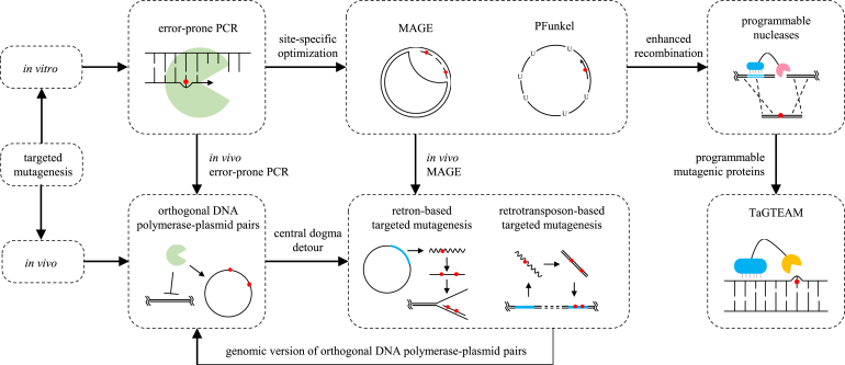 Fig. 1