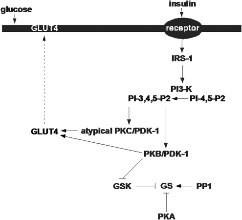 FIG. 1.