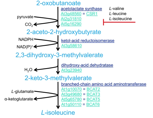 Figure 11.