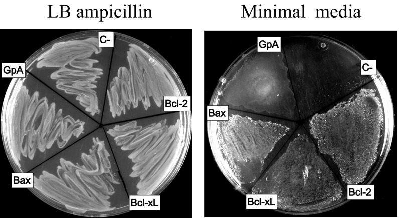 Fig. S1.