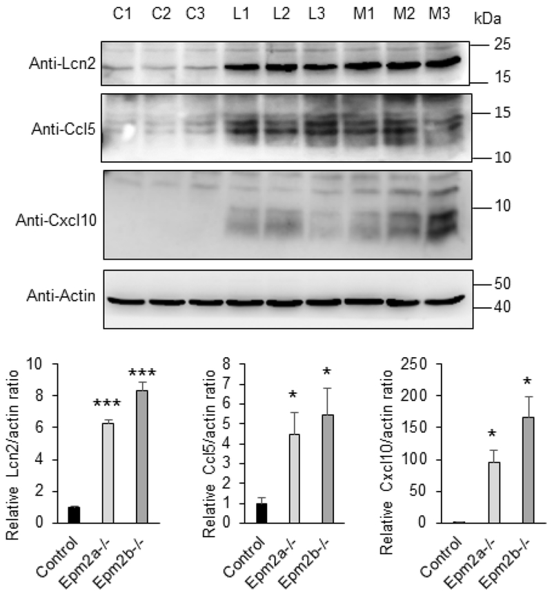 Figure 5: