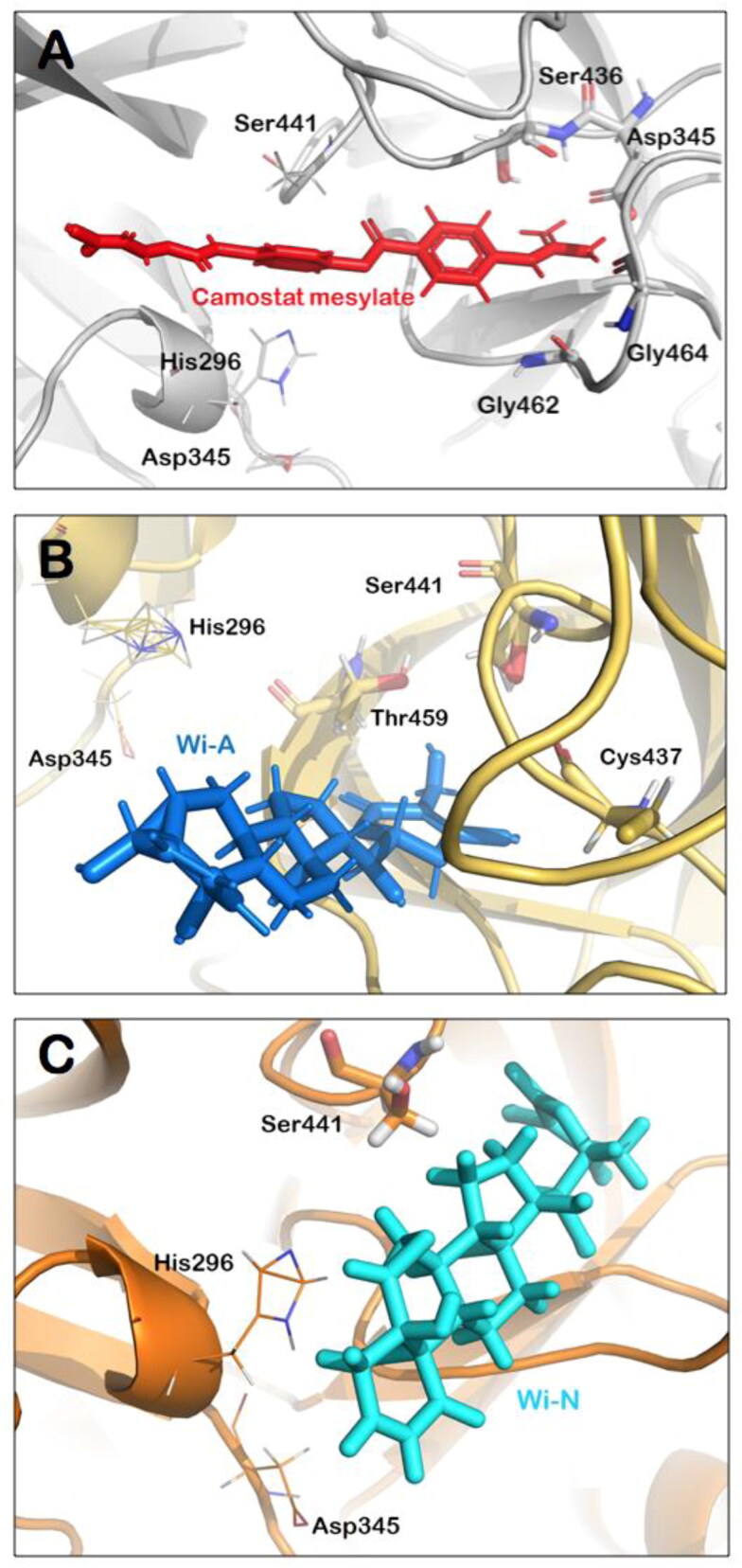 Figure 4.