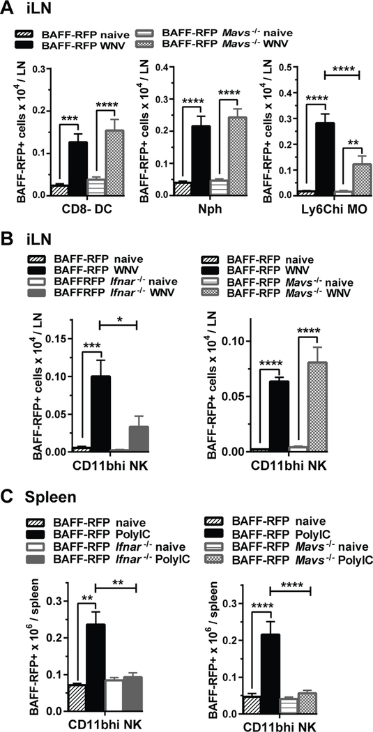 Figure 6.