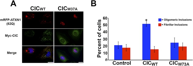 Figure 5—figure supplement 1.