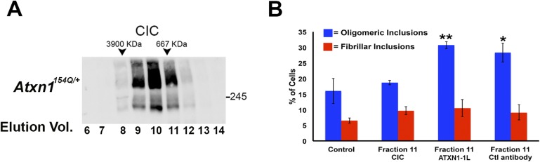 Figure 4—figure supplement 1.