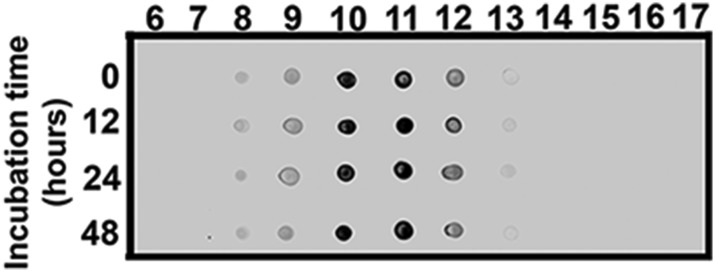 Figure 2—figure supplement 3.